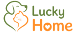 logo png web social